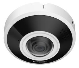 DAHUA 6 MP Dome IP Security Camera with 1.68 mm Fisheye Lens, 360° Panoramic View, 15 m Night Vision, Two-Way Audio, PoE, IP67 and IK10, White