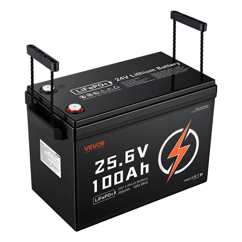 VEVOR 24 V 100 Ah LiFePO4 akumulators, Bluetooth, 100 A BMS, 2560 Wh