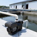 VEVOR baseina ūdens sūknis ar regulējamu ātrumu, 2200 W, AC 220–240 V, 43 000 l/h, pašuzsūcošs sūknis iebūvētiem un virszemes baseiniem ar filtra grozu un programmējamu taimeri