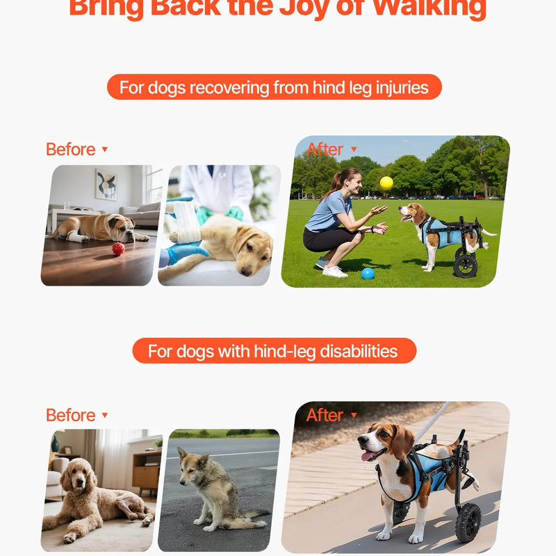 VEVOR suņu ratiņi aizmugurējām kājām, regulējami 2 riteņi, viegls suņu ratiņš ar triecienus absorbējošiem riteņiem, mobilitātes atbalsts invalīdiem un traumētiem suņiem līdz 10 kg, maziem suņiem