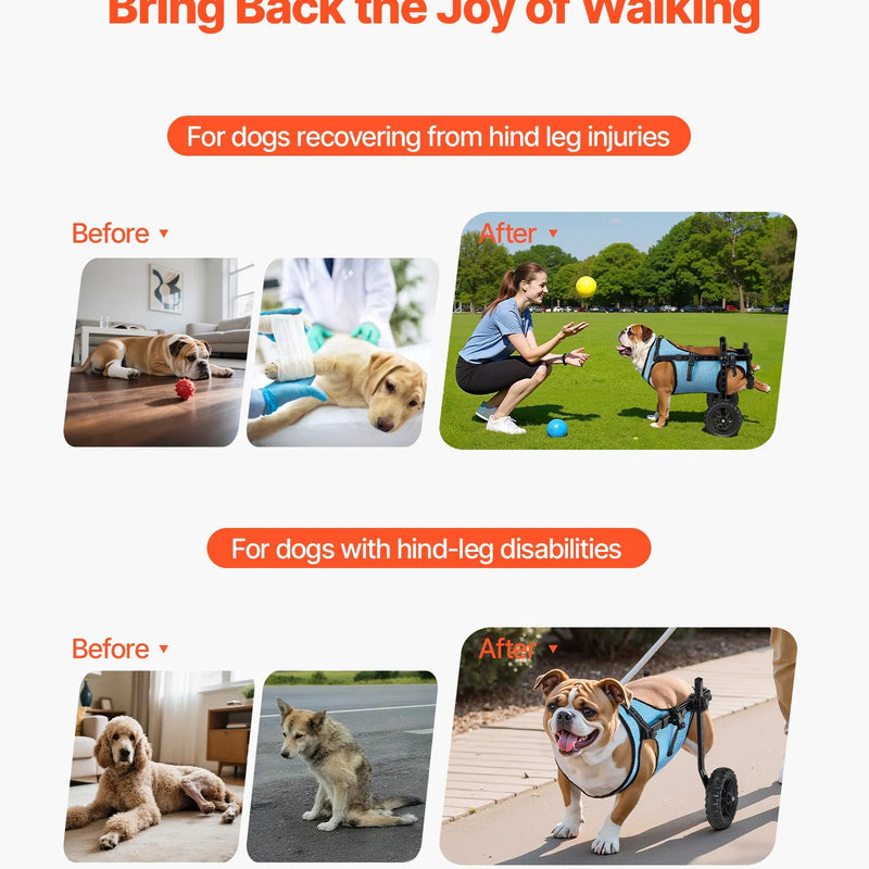 VEVOR suņu ratiņi aizmugurējām kājām, regulējami 2 riteņi, viegls suņu ratiņš ar triecienus absorbējošiem riteņiem, mobilitātes atbalsts invalīdiem un traumētiem suņiem līdz 15 kg, vidēja izmēra suņiem