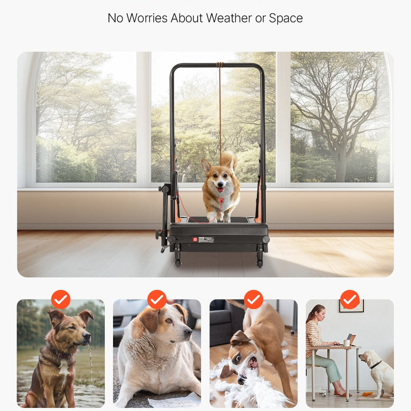 VEVOR Elektriskais suņu skrejceļš vidēja izmēra suņiem – ideāli piemērots veiklības treniņiem