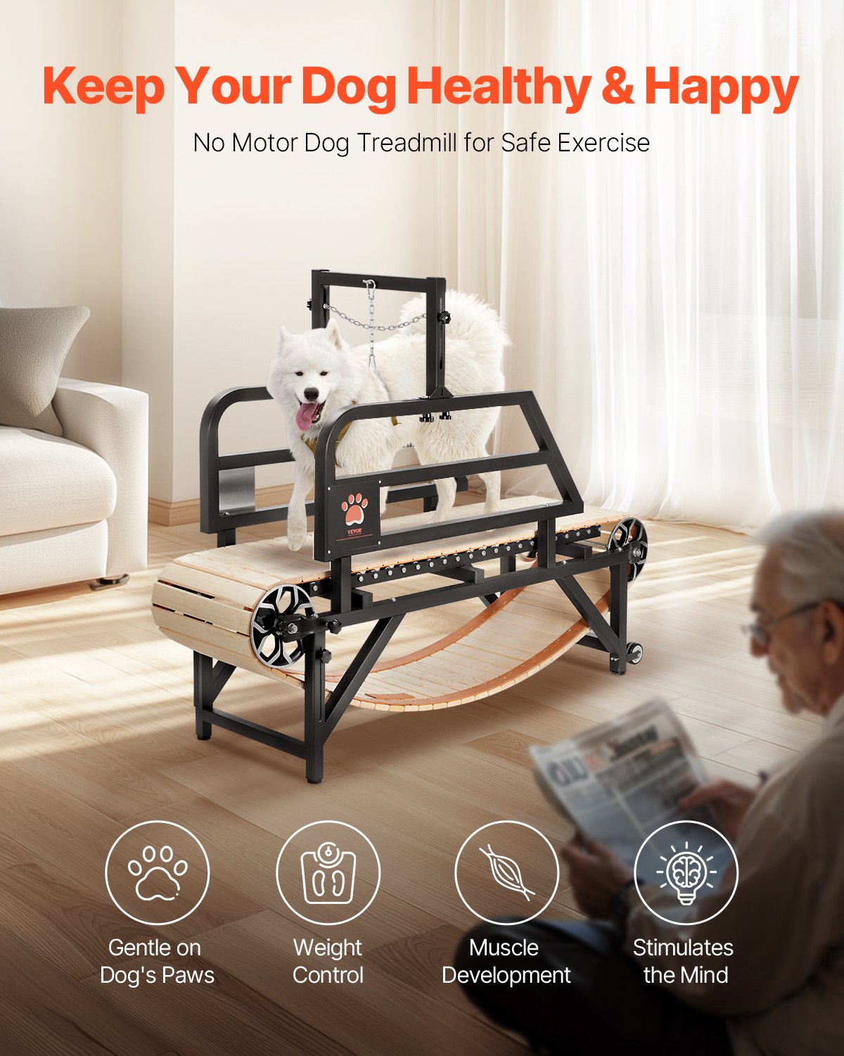 VEVOR Dog Treadmill for Medium Dogs, Indoor Exercise Machine, up to 100 kg