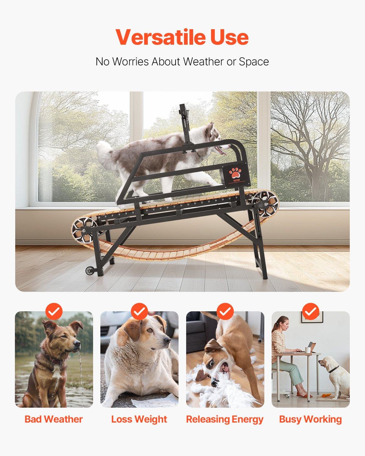 VEVOR Dog Treadmill for Medium Dogs, Indoor Exercise Machine, up to 100 kg