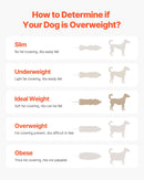 Suņu skrejceļš vidēja izmēra suņiem līdz 100 kg – Iekštelpu trenažieris mājdzīvniekiem