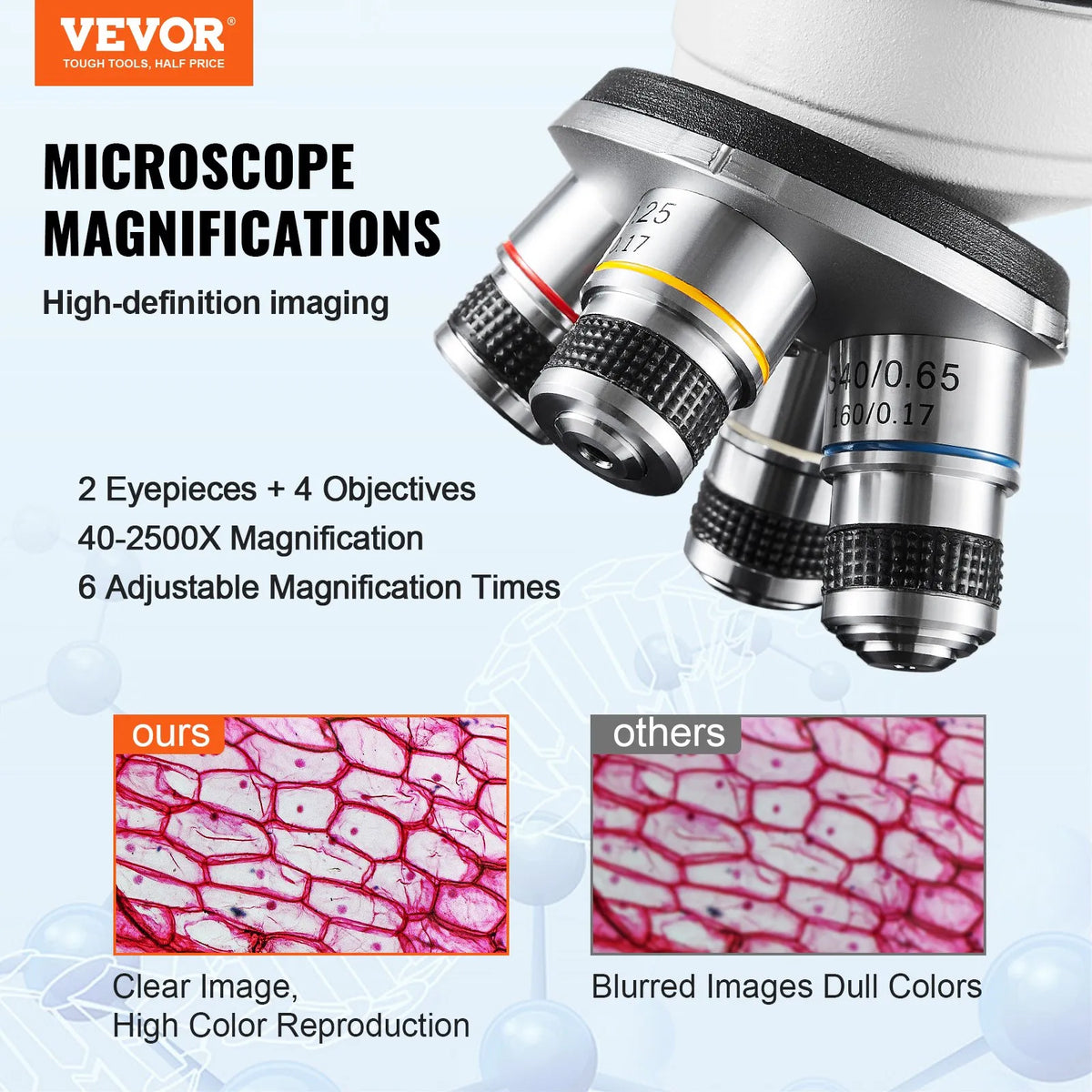 VEVOR Binocular Laboratory Microscope with LED Illumination, 40–2500× Magnification, Dual-Layer Mechanical Stage, Includes Phone Holder and Microscope Slides