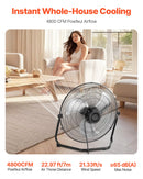 VEVOR 2 gab. 50 cm grīdas ventilatori, 3 ātrumi, 360° regulējams leņķis, jaudīgi rūpnieciskie