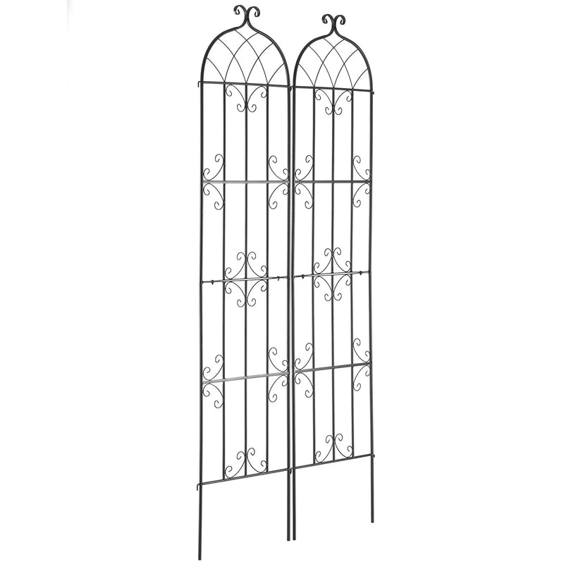 2 gab. metāla dārza režģi vīteņaugu atbalstam, 221 × 51 cm, pretrūsas