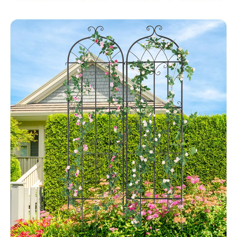 2 габ. метала дарза режги витенаугу атбалстам, 221 × 51 см, претрусас