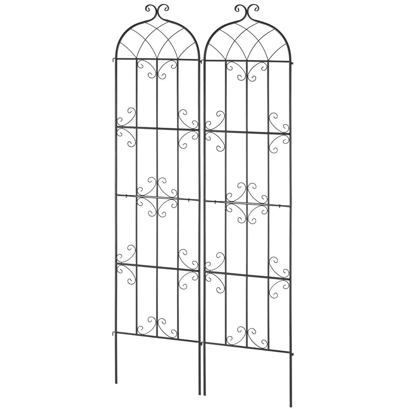 2 gab. metāla dārza režģi vīteņaugu atbalstam, 221 × 51 cm, pretrūsas