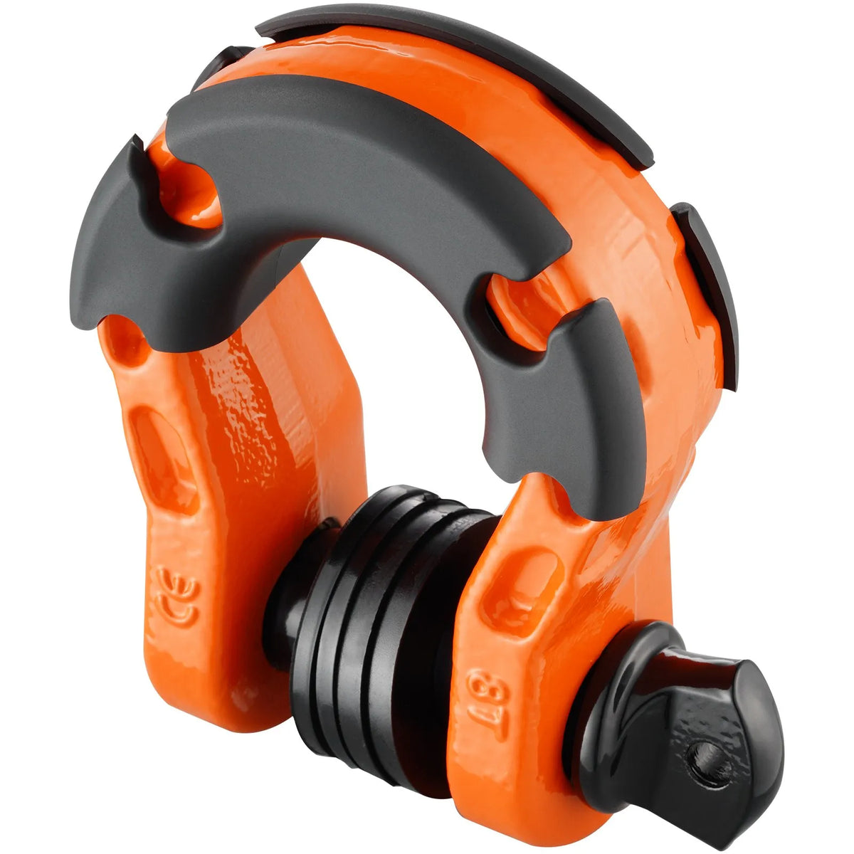 2 pcs 19 mm D-shaped shackles with 22 mm screw pin, 30,000 kg breaking strength