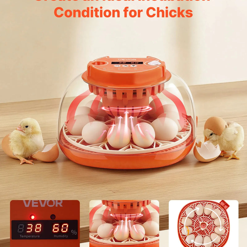 VEVOR 12 olu inkubators ar automātisku olu grozītāju, LED ovoskopu, temperatūras un mitruma kontroli, caurspīdīgu 360° skata logu putnu olu inkubēšanai mājai un saimniecībai (cāļi, pīles, zosis, paipalas)