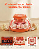 VEVOR 12 olu inkubators ar automātisku olu grozītāju, LED ovoskopu, temperatūras un mitruma kontroli, caurspīdīgu 360° skata logu putnu olu inkubēšanai mājai un saimniecībai (cāļi, pīles, zosis, paipalas)