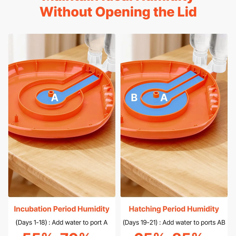 VEVOR 12 olu inkubators ar automātisku olu grozītāju, LED ovoskopu, temperatūras un mitruma kontroli, caurspīdīgu 360° skata logu putnu olu inkubēšanai mājai un saimniecībai (cāļi, pīles, zosis, paipalas)
