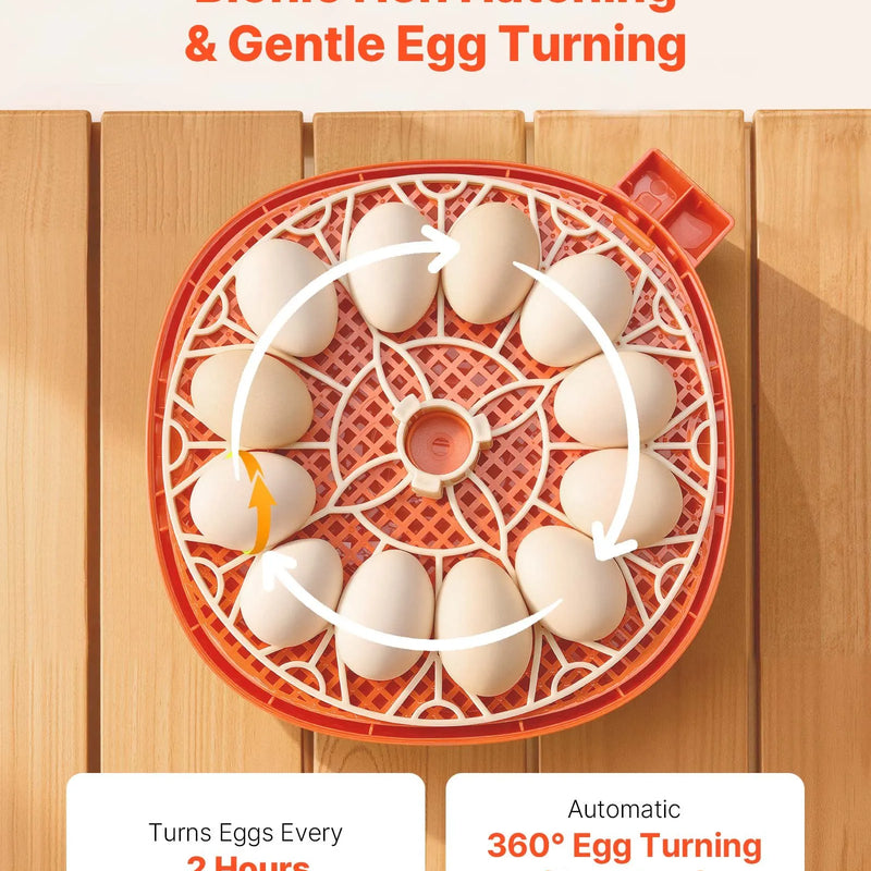 VEVOR 12 olu inkubators ar automātisku olu grozītāju, LED ovoskopu, temperatūras un mitruma kontroli, caurspīdīgu 360° skata logu putnu olu inkubēšanai mājai un saimniecībai (cāļi, pīles, zosis, paipalas)
