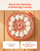 VEVOR 12 olu inkubators ar automātisku olu grozītāju, LED ovoskopu, temperatūras un mitruma kontroli, caurspīdīgu 360° skata logu putnu olu inkubēšanai mājai un saimniecībai (cāļi, pīles, zosis, paipalas)