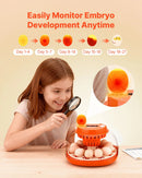 VEVOR 12 olu inkubators ar automātisku olu grozītāju, LED ovoskopu, temperatūras un mitruma kontroli, caurspīdīgu 360° skata logu putnu olu inkubēšanai mājai un saimniecībai (cāļi, pīles, zosis, paipalas)