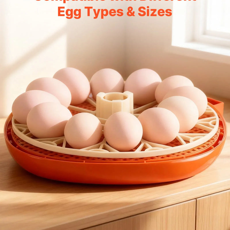 VEVOR 12 olu inkubators ar automātisku olu grozītāju, LED ovoskopu, temperatūras un mitruma kontroli, caurspīdīgu 360° skata logu putnu olu inkubēšanai mājai un saimniecībai (cāļi, pīles, zosis, paipalas)