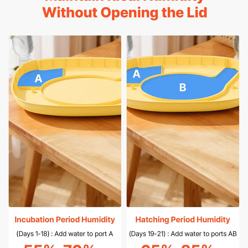 VEVOR 24 olu inkubators ar automātisku olu grozītāju un LED ovoskopu, temperatūras un mitruma kontroli, 360° skata caurspīdīgu vāku, automātisku ūdens papildināšanu mājputnu olu inkubēšanai (cāļiem, pīlēm, zosīm, paipalām)