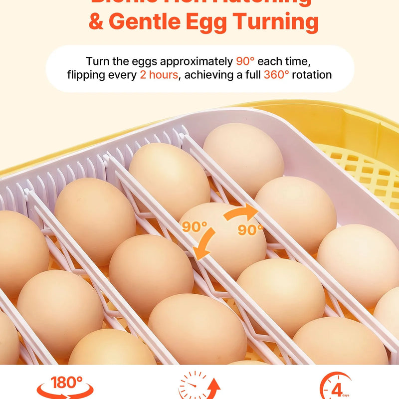 VEVOR 24 olu inkubators ar automātisku olu grozītāju un LED ovoskopu, temperatūras un mitruma kontroli, 360° skata caurspīdīgu vāku, automātisku ūdens papildināšanu mājputnu olu inkubēšanai (cāļiem, pīlēm, zosīm, paipalām)