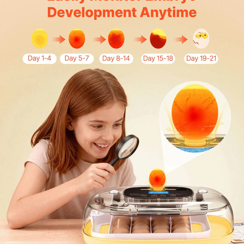 VEVOR 24 olu inkubators ar automātisku olu grozītāju un LED ovoskopu, temperatūras un mitruma kontroli, 360° skata caurspīdīgu vāku, automātisku ūdens papildināšanu mājputnu olu inkubēšanai (cāļiem, pīlēm, zosīm, paipalām)