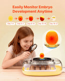 VEVOR 24 olu inkubators ar automātisku olu grozītāju un LED ovoskopu, temperatūras un mitruma kontroli, 360° skata caurspīdīgu vāku, automātisku ūdens papildināšanu mājputnu olu inkubēšanai (cāļiem, pīlēm, zosīm, paipalām)