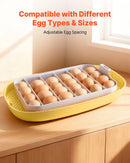 VEVOR 24 olu inkubators ar automātisku olu grozītāju un LED ovoskopu, temperatūras un mitruma kontroli, 360° skata caurspīdīgu vāku, automātisku ūdens papildināšanu mājputnu olu inkubēšanai (cāļiem, pīlēm, zosīm, paipalām)