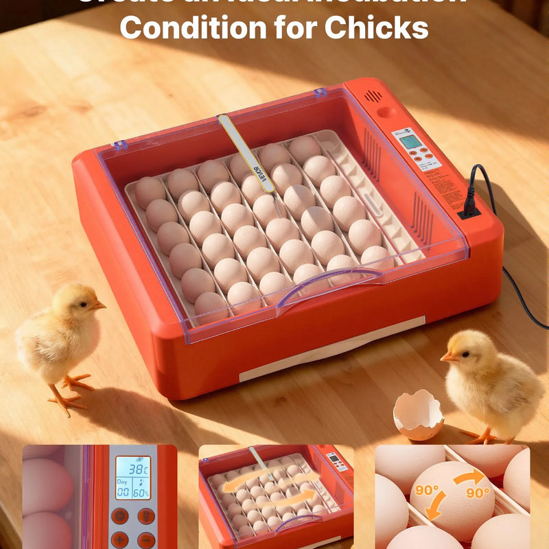 VEVOR 36 olu inkubators ar automātisku olu grozītāju, LED ovoskopu un ūdens paplāti, temperatūras un mitruma kontroli, caurspīdīgu 360° skata logu putnu olu inkubēšanai cāļiem, pīlēm, zosīm un paipalām