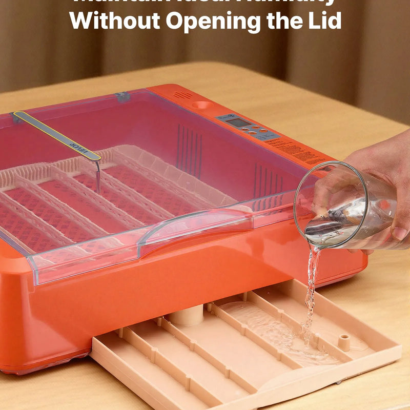 VEVOR 36 olu inkubators ar automātisku olu grozītāju, LED ovoskopu un ūdens paplāti, temperatūras un mitruma kontroli, caurspīdīgu 360° skata logu putnu olu inkubēšanai cāļiem, pīlēm, zosīm un paipalām