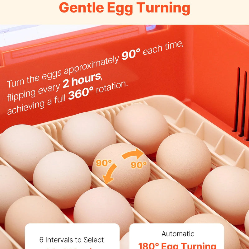 VEVOR 36 olu inkubators ar automātisku olu grozītāju, LED ovoskopu un ūdens paplāti, temperatūras un mitruma kontroli, caurspīdīgu 360° skata logu putnu olu inkubēšanai cāļiem, pīlēm, zosīm un paipalām