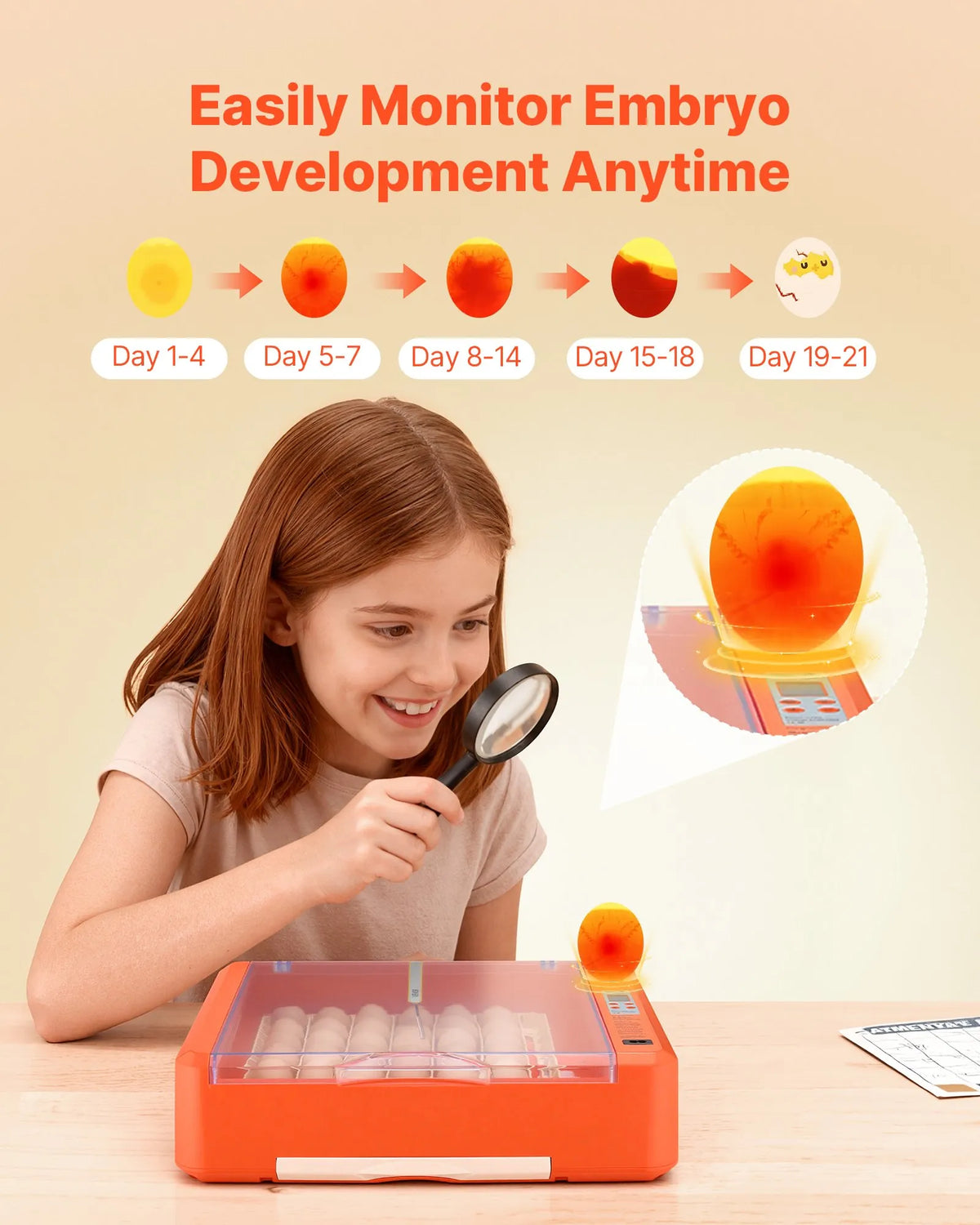 VEVOR Egg Incubator for 36 Eggs with Automatic Turning, Egg Candler and Humidity Control