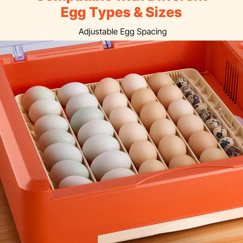 VEVOR 36 olu inkubators ar automātisku olu grozītāju, LED ovoskopu un ūdens paplāti, temperatūras un mitruma kontroli, caurspīdīgu 360° skata logu putnu olu inkubēšanai cāļiem, pīlēm, zosīm un paipalām
