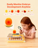 VEVOR olu inkubators 48 olām, automātiska olu grozīšana ar LED ovoskopu, temperatūras displejs un automātiska mitruma kontrole, 360° caurspīdīgs skata logs, mājputnu olu inkubators cāļu, pīļu, zosu un paipalu inkubēšanai