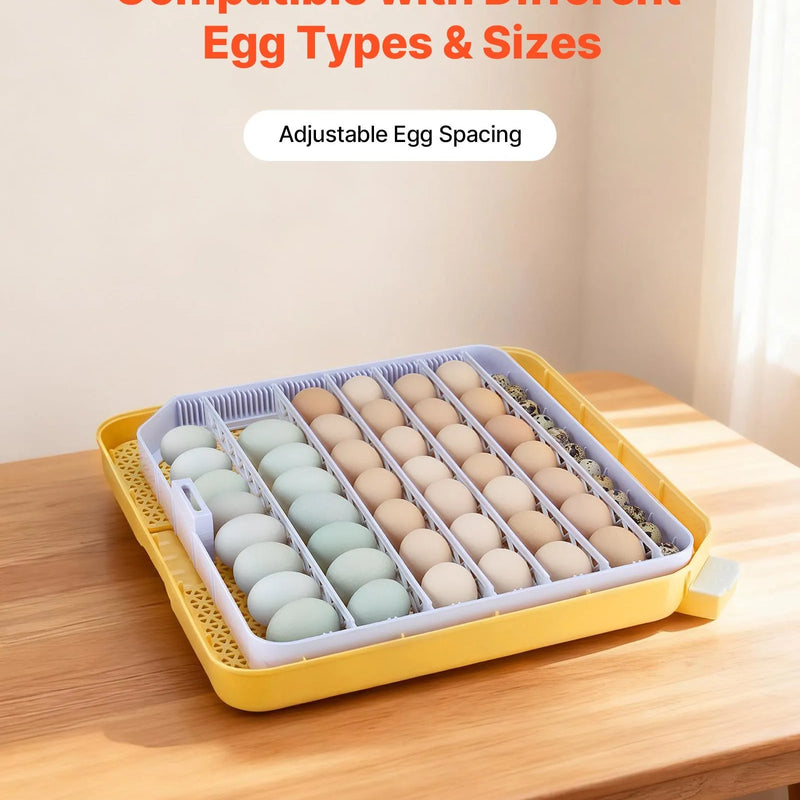 VEVOR olu inkubators 48 olām, automātiska olu grozīšana ar LED ovoskopu, temperatūras displejs un automātiska mitruma kontrole, 360° caurspīdīgs skata logs, mājputnu olu inkubators cāļu, pīļu, zosu un paipalu inkubēšanai