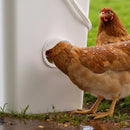 VEVOR DIY vistu barotavas komplekts, 4 barošanas atveres, lietusizturīga putnu barotava ar pārsegu, bez barības zudumiem, automātiska gravitācijas padeves sistēma ar izturīgu tērauda kroņurbi un gumijas blīvgredzenu spaiņiem, mucām, konteineriem un silēm