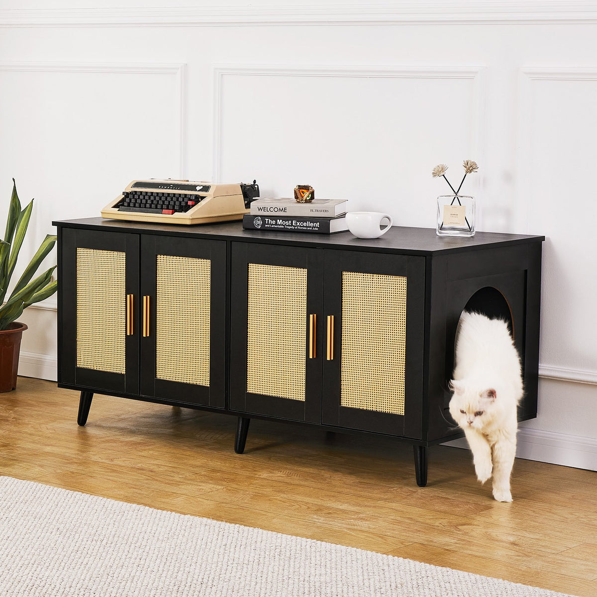 VEVOR kassiliivakasti kapp 2 kassile rotangustega, 120 × 50 × 55 cm, must
