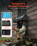 VEVOR automātiskās vistas kūts durvis, akumulatora darbināmas, ar taimeri un manuālo vadību, pretpiestiprināšanas drošība, izturīgs alumīnija sakausējums, automātiska vista ieejas vārti, ūdensizturīgs blīvējums, melnas