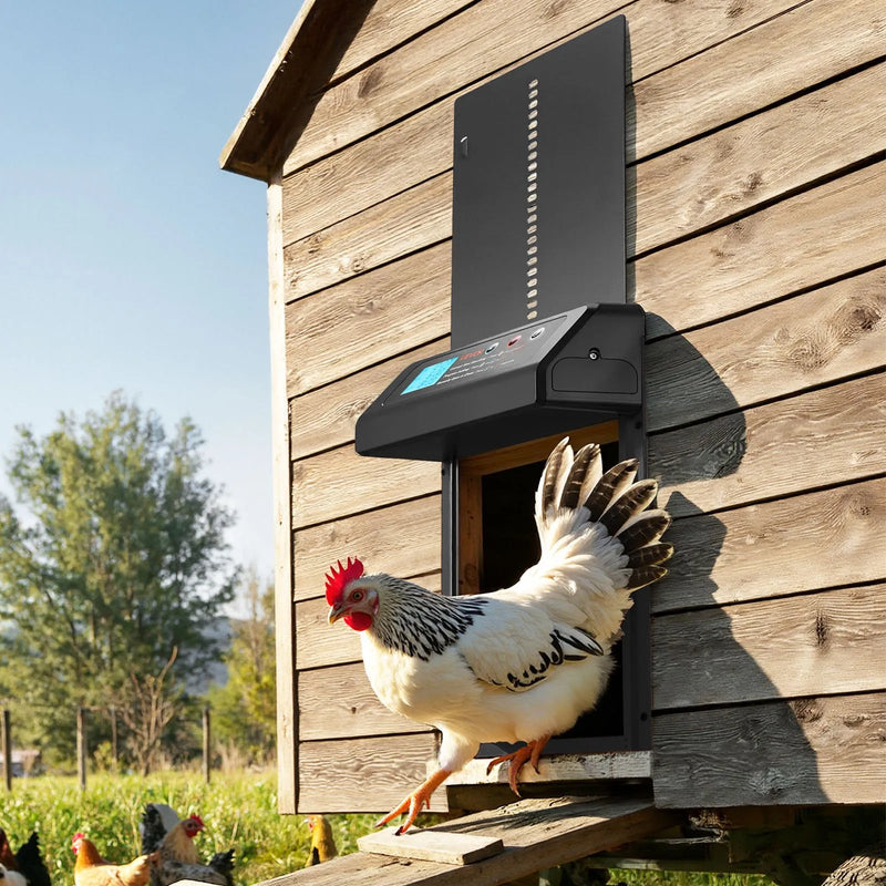 VEVOR automātiskās vistas kūts durvis, akumulatora darbināmas, ar taimeri un manuālo vadību, pretpiestiprināšanas drošība, izturīgs alumīnija sakausējums, automātiska vista ieejas vārti, ūdensizturīgs blīvējums, melnas