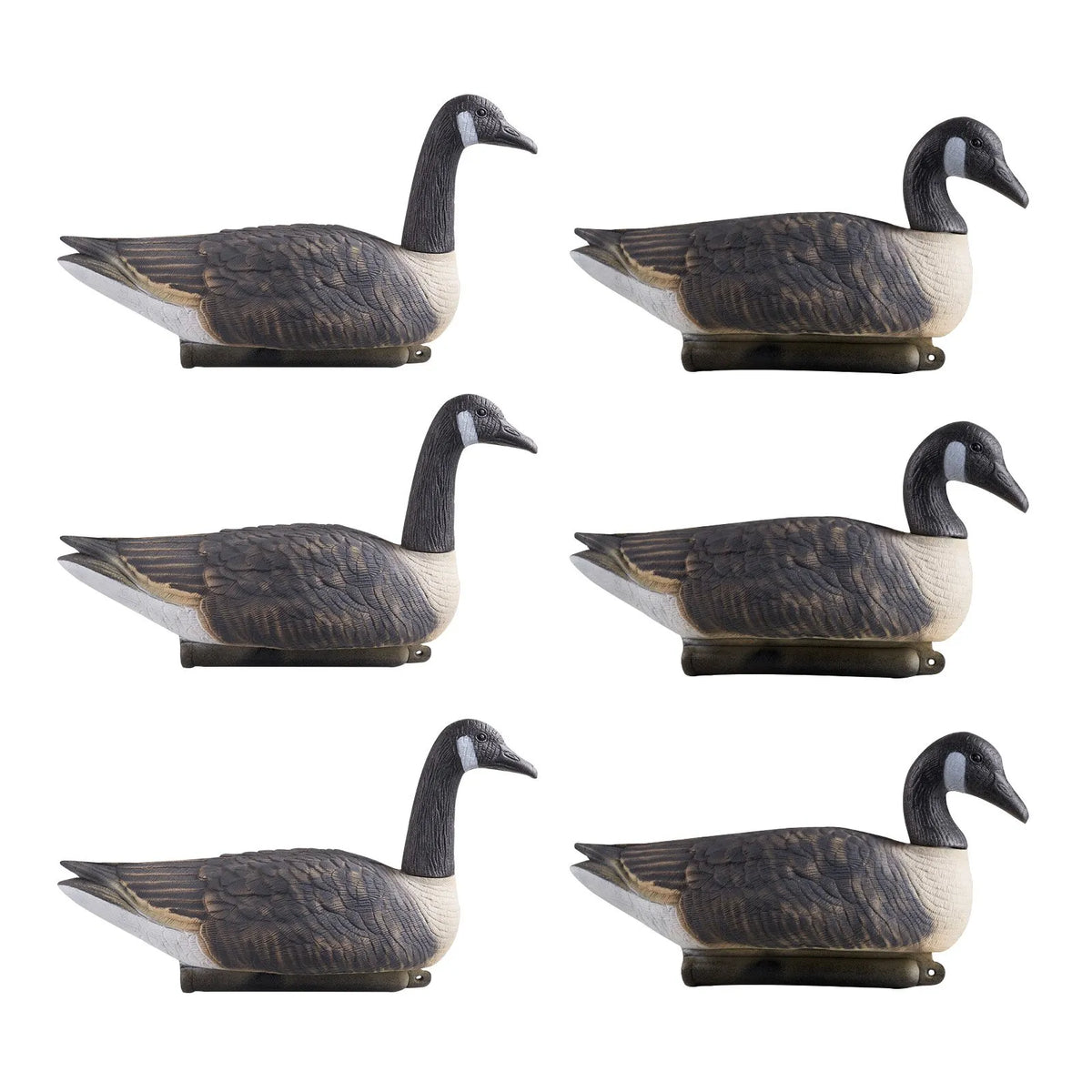 Canada Goose Decoys for Outdoor Use, 6 Pieces, Durable Plastic Swimming Decoys with Highly Realistic Colouring, Suitable for Waterfowl Hunting, Ponds, Lakes or Garden Decoration, Lightweight and Easy to Use