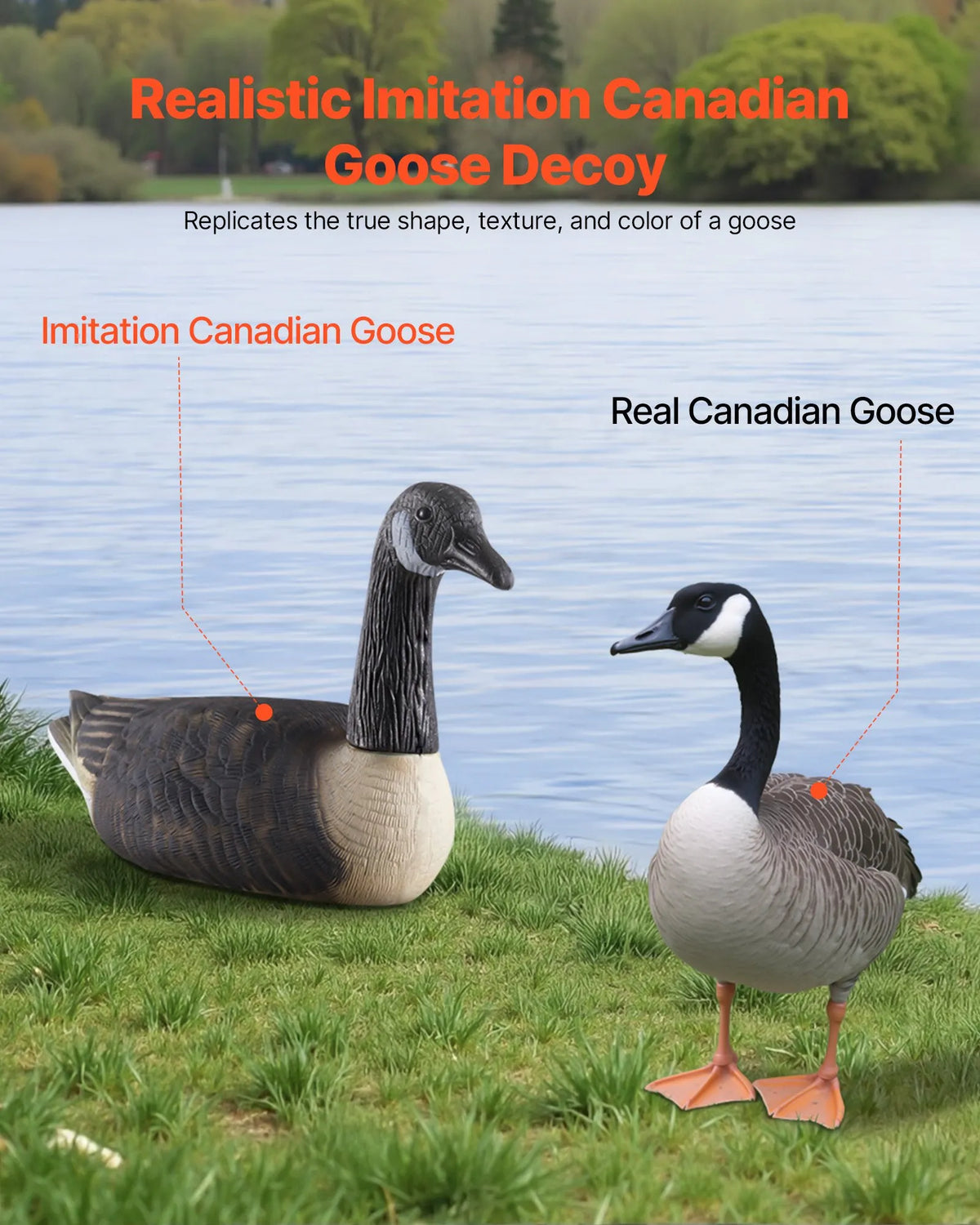 Canada Goose Decoys for Outdoor Use, 6 Pieces, Durable Plastic Swimming Decoys with Highly Realistic Colouring, Suitable for Waterfowl Hunting, Ponds, Lakes or Garden Decoration, Lightweight and Easy to Use