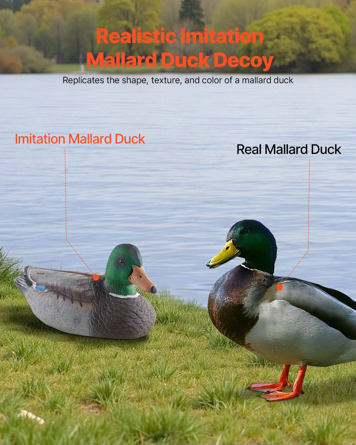 Realistic Floating Duck Decoys with Weighted Balance, Plastic Duck Hunting Lures Suitable for Ponds, Lakes and Garden Decoration, Portable (6 Pack)