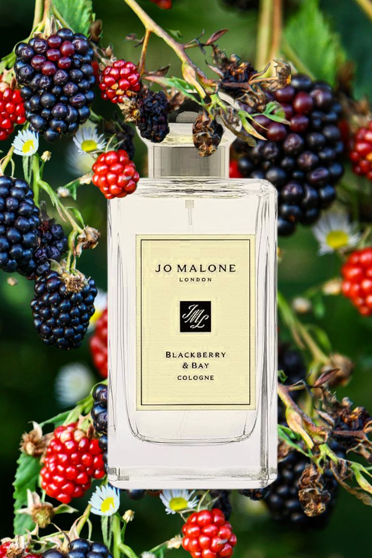 Jo Malone Blackberry & Bay EDC 100ml – svaigs un dzīvīgs aromāts ar ogu, lauru lapu un koksnes notīm.