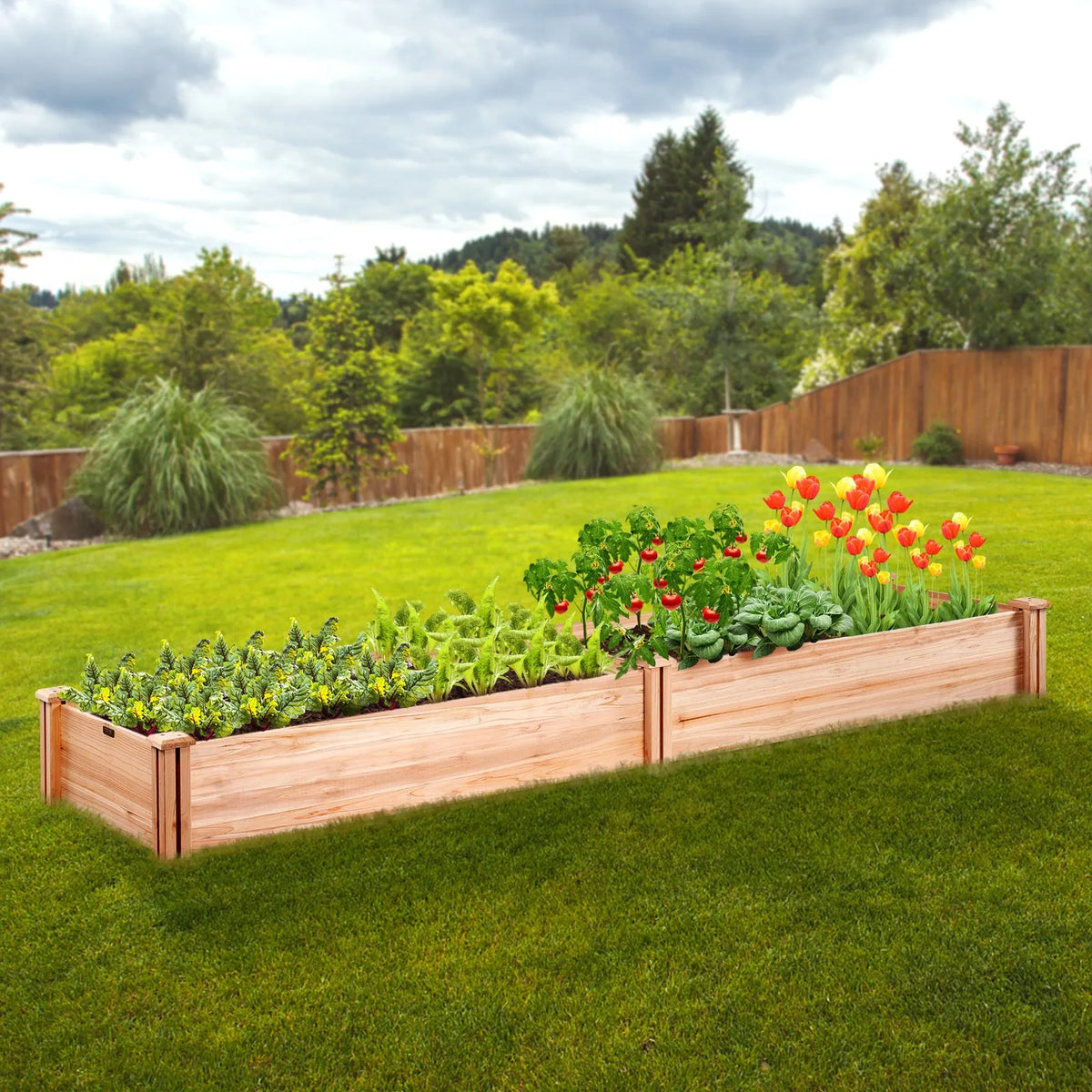 Paaugstinātā dārza dobe 240 × 61 × 25 cm koka stādīšanas kaste ar atvērtu pamatni, āra ziediem, dārzeņiem un garšaugiem dārzā, pagalmā vai balkonā, gaiši brūna