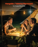 VEVOR dekoratīvās sveču laternas, 12 gab., LED elektriskās bezliesmas sveces, plastmasas LED turētājs ar stiklu, sienas piekarināmas iekštelpu lieveņa laternas, piemērotas kāzu galdiem, ballītēm un lauku stila interjera dekoram, bronzas krāsā