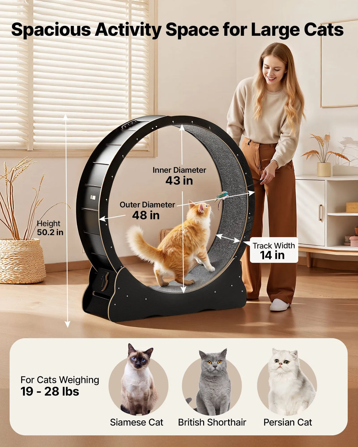 VEVOR Cat Exercise Wheel 120 cm, Wooden, with Mat and Locking Mechanism, for Cats up to 12.7 kg, Black