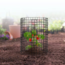 6 габ. аугу айзсарги прет дзивниекием, метала аугу балсти, Ø 32 см x 36 см аугсти