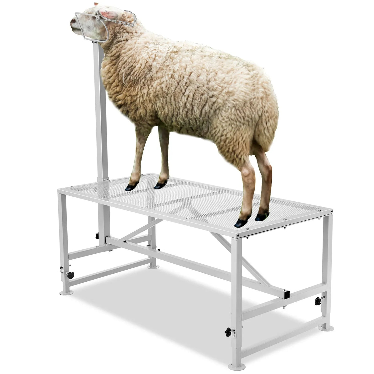 VEVOR Goat and Sheep Shearing Stand with Head Restraint, Adjustable 53–84 cm, 120 × 58 cm, White