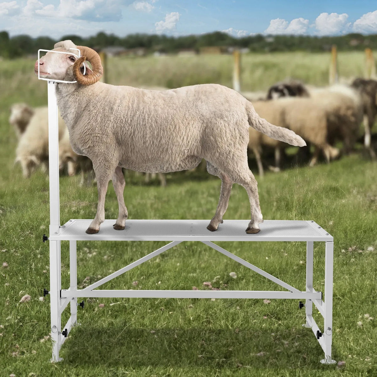 VEVOR Goat and Sheep Shearing Stand with Head Restraint, Adjustable 53–84 cm, 120 × 58 cm, White
