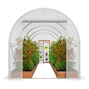 VEVOR pārnēsājama augu siltumnīca 4,45 x 1,94 x 1,92 m, galvanizēts rāmis, PE pārklājums, balta