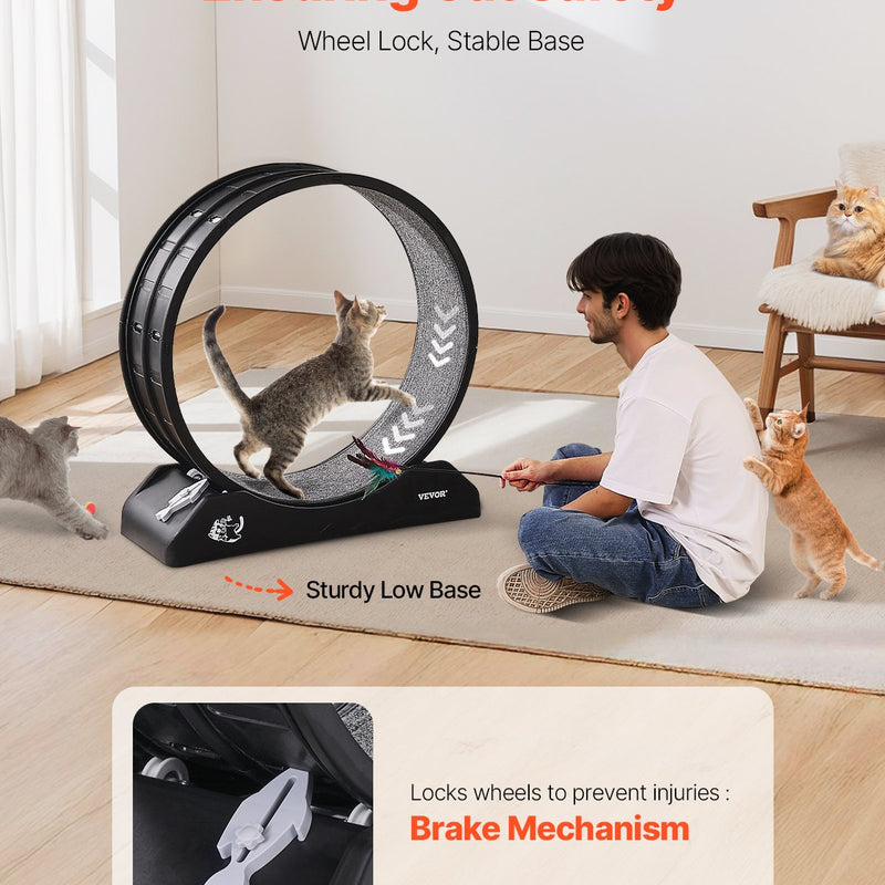 VEVOR Kaķu trenažieris ar skrejriteni, 80 cm, iekštelpām